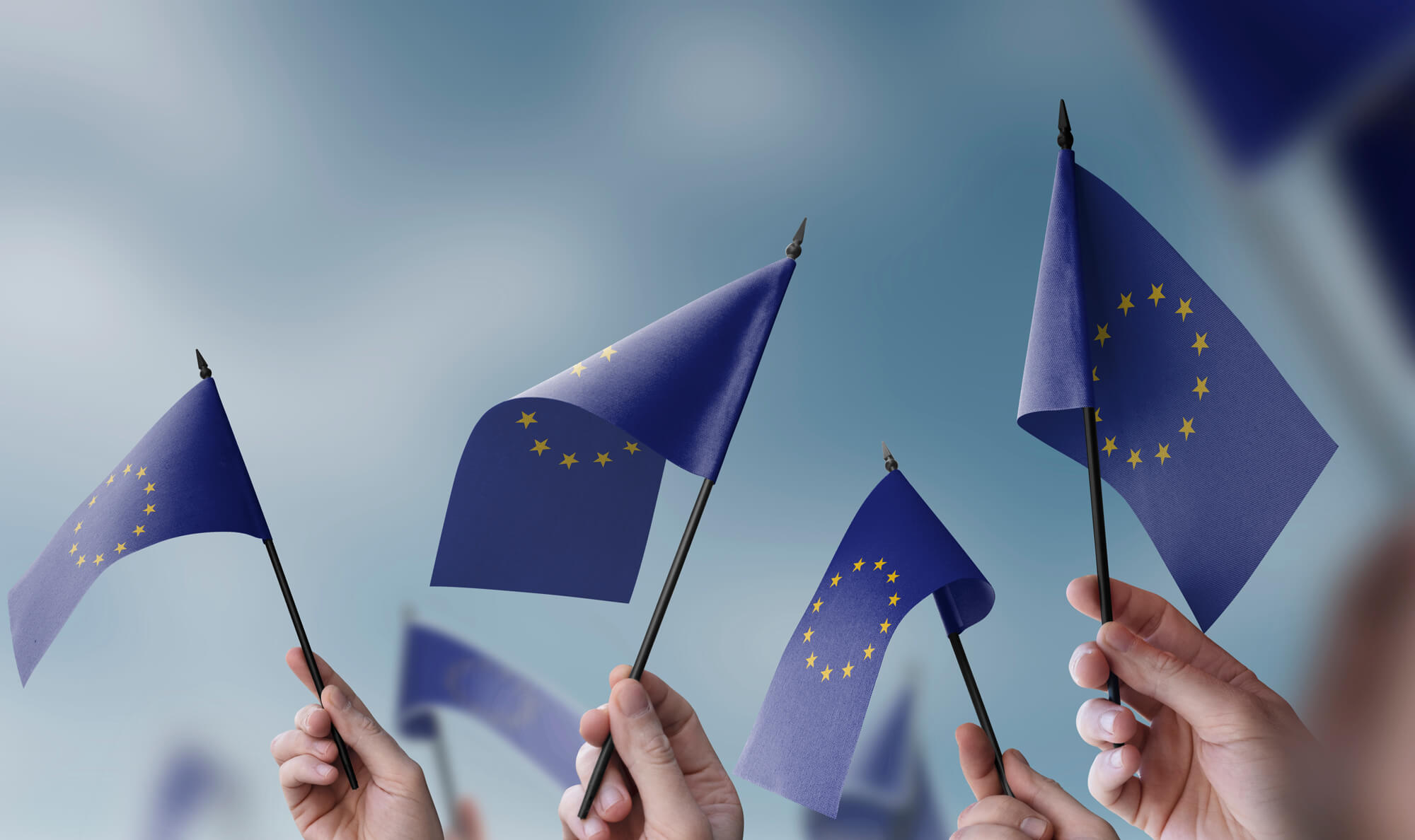 eu policy 2305289899 (1)